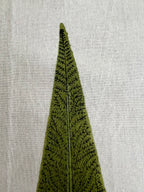 Cypress Sage Bedsheet